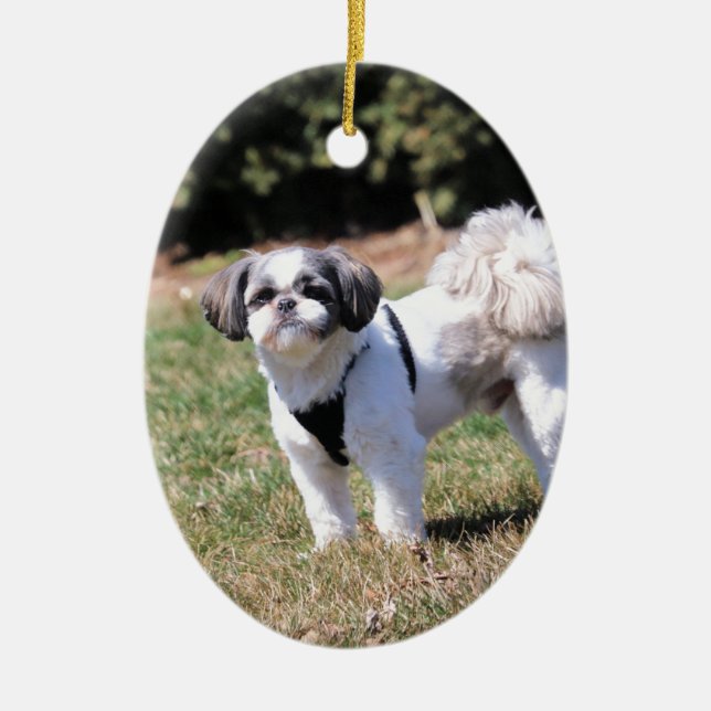 Décoration En Céramique Shih Tzu (Devant)