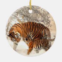 Sibérie Tiger Mère et Kitten