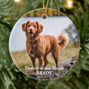 Décoration En Céramique Simple Personnalisé 2 Photo Sympathy Pet Memorial