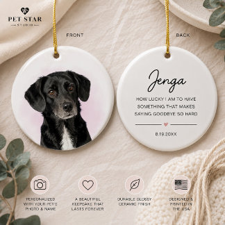 Décoration En Céramique Souvenir de sympathie pour chien et chat Photo