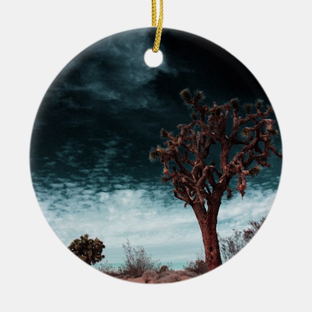 Décoration En Céramique Spécial Joshua Tree (Devant)