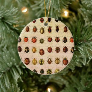 Décoration En Céramique Spécimen de coccinelle vintage Motif Insecte antiq
