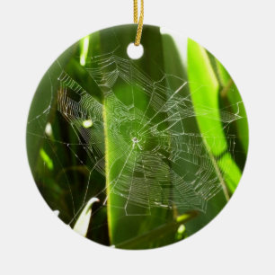 Décoration En Céramique Spiderweb dans Tropical Leaves Nature