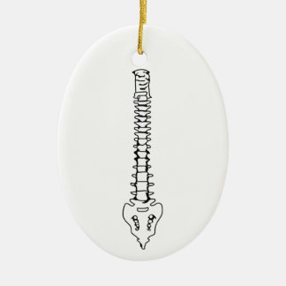 Décoration En Céramique Spine humaine