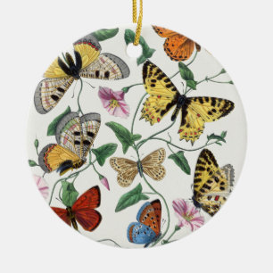 Décoration En Céramique Study of Diurnal butterflies by Paul Gervais