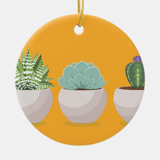 Décoration En Céramique Succulent dans un pot (Devant)
