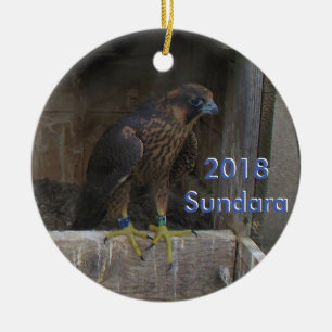 Décoration En Céramique Sundara, l'ornement de céramique 2018
