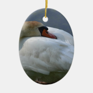 Décoration En Céramique Swan