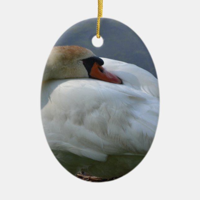 Décoration En Céramique Swan (Devant)