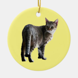 Décoration En Céramique Tabby Cat