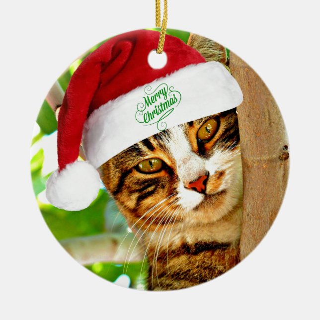 Décoration En Céramique Tabby de Noël dans un arbre (Devant)