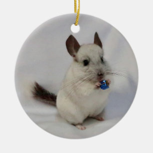 Décoration En Céramique Tenue debout chinchilla blanche présente