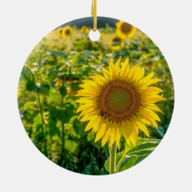 Décoration En Céramique Terrain de tournesol doré (Dos)