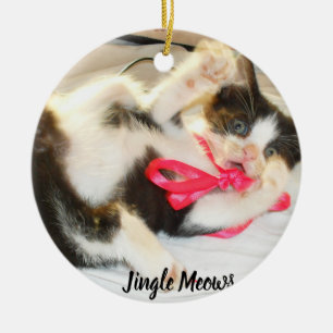 Décoration En Céramique Texte de photo de chaton Jingle Meows, Personnalis