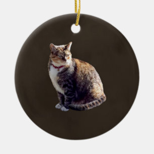 Décoration En Céramique Tortoiseshell