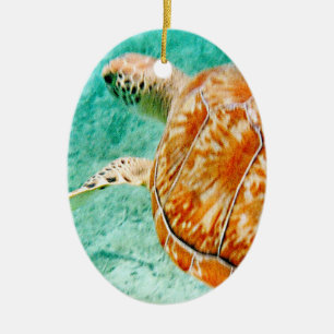 Décoration En Céramique Tortue de mer