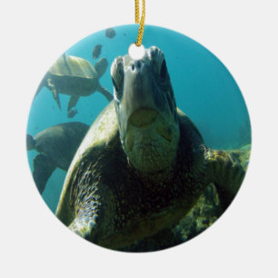 Décoration En Céramique Tortue de mer verte d'Hawaï