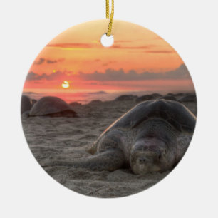 Décoration En Céramique Tortues de mer au coucher du soleil