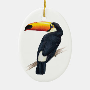 Décoration En Céramique Toucan