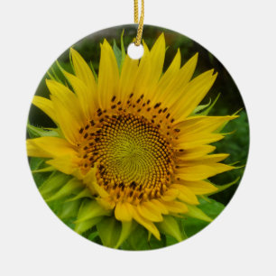 Décoration En Céramique Tournesol