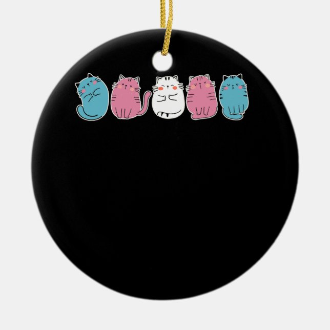 Décoration En Céramique Transgenre Pride Chat LGBT Communauté Trans Drapea (Devant)