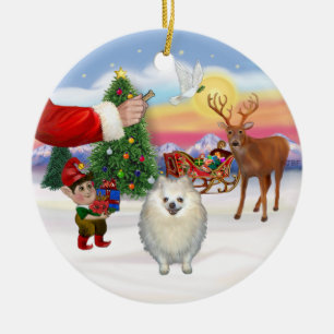 Décoration En Céramique Treat for a White Pomeranian