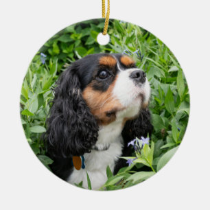 Décoration En Céramique Tri Color Cavalier King Charles Spaniel