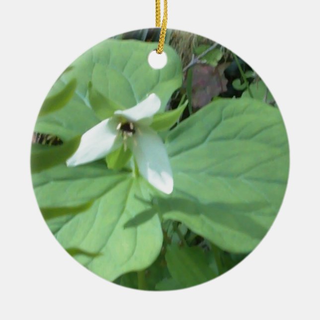 Décoration En Céramique trillium blanc avec verdure (Devant)