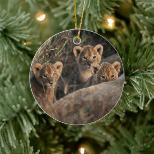 Décoration En Céramique Trio de lionceaux avec leur mère