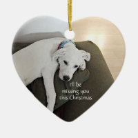 Triste Chien Blanc Mal Manquant Tu Coeur Noël