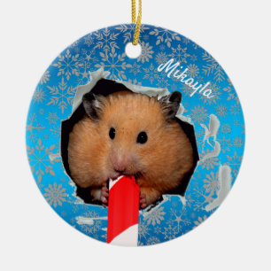 Décoration En Céramique Trou Hamster Chews dans l'ornement de Noël