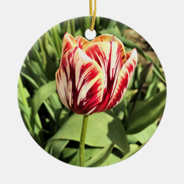 Décoration En Céramique Tulipe rouge et blanche (Devant)