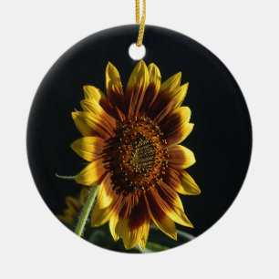 Décoration En Céramique Un beau tournesol