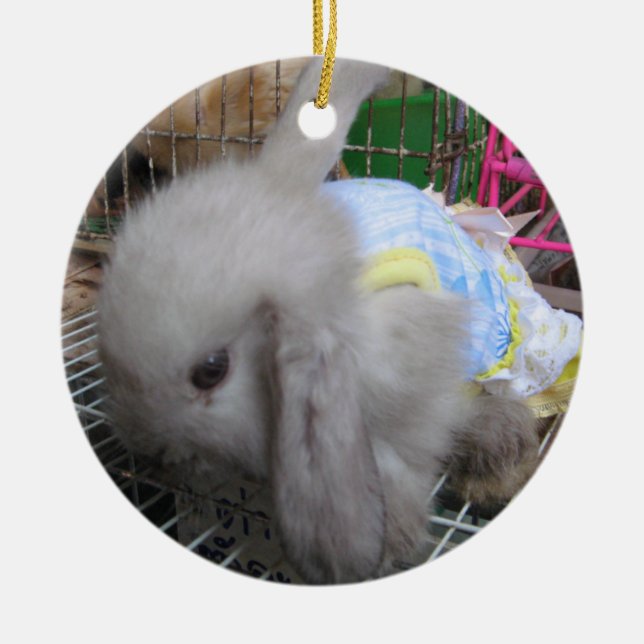 Décoration En Céramique Un lapin en robe (Devant)