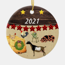 Un pays Noël KuneKune & chèvre