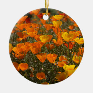Décoration En Céramique Une Californie florissante : Poppies