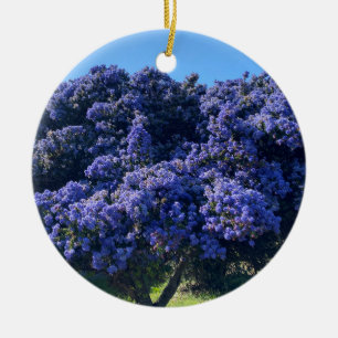 Décoration En Céramique Une Californie florissante : Wild Lilac