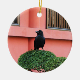 Décoration En Céramique Une Jungle À Gros Billages Croque Une Perche Sur U