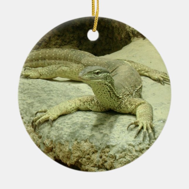 Décoration En Céramique Varanus gouldii (Devant)