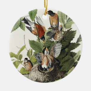 Décoration En Céramique Vintage Audubon Merle d'Amérique Art du Nid d'Oise