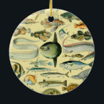 Décoration En Céramique Vintage Fish Scientific Fishing Art<br><div class="desc">Vintage Fishes - This image of fish is based on an antique Adolphe Millot natural history scientific print. Adolphe Millot was the senior illustrator at the national natural history museum in Paris. Printed in the French illustrated dictionary “Le Petit Larousse Illustré” first published in 1905.</div>