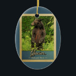 Décoration En Céramique Vintage voyage d'ours du parc national Glacier<br><div class="desc">Vintage ornement de voyage Glacier National Park image d'un ours noir debout sur ses pattes arrières,  regardant dans la forêt verte.</div>