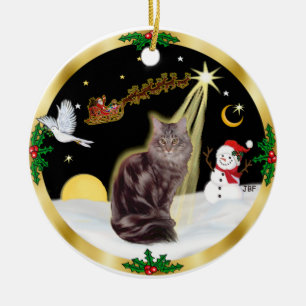 Décoration En Céramique Vol de nuit - Maine Coon cat (tableau 10)