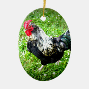 Décoration En Céramique Volaille de ferme