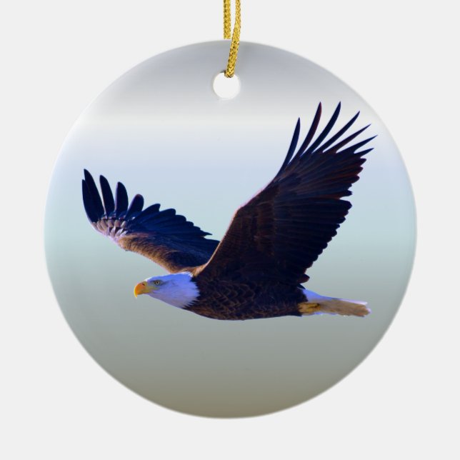 Décoration En Céramique Voler d'Eagle chauve (Devant)