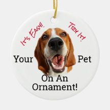 Votre Animal De Compagnie