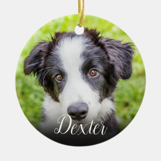 Décoration En Céramique Votre photo souvenir de votre animal préféré (Devant)