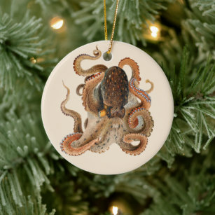 Décoration En Céramique Vulgaris Octopus vintage, Animaux de la vie marine