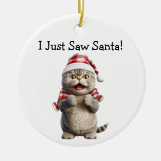 Décoration En Céramique Whiskers et l'ornement de chats d'hiver