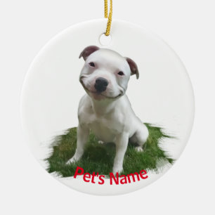 Décoration En Céramique White Pitbull Grinning in the Grass